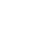 دعم شامل